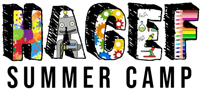 HF_HACEF's tweet photo. Apply to be a HACEF Camp Volunteer Now! https://t.co/7wwkF3NszV https://t.co/9iI6W4Srfz