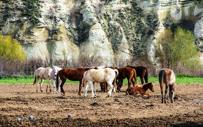 Abdurrahman3166's tweet photo. #AKSARAY
#Periler Diyarı #Kapadokya’nın parçası olan Aksaray, düş dünyanızı zorlayacak #keyifli #turistik bir #seyahat vaat ediyor sizlere…
Ihlara Vadisi, İnanç Turizmi Yapıları, Yeraltı Şehirleri, İpek Yolu, Tuz Gölü, Hasandağı, Antik Kentler, Termal Merkezler, seyahatinizi https://t.co/GRcRgIkIKs