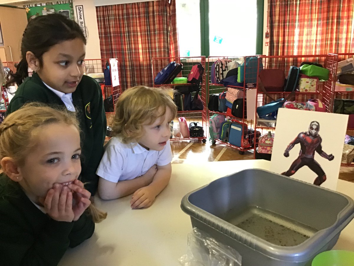 lawnprimary's tweet photo. Today Reception were treated to a Superhero Surprise! We gathered in the hall at 9 o'clock and took turns to lift Thor's hammer, light up Iron Man's chest armour, sticking balloons to walls using 'superpowers' and making our own flying planes. What fun! #superherofun https://t.co/4JwszFCpYD