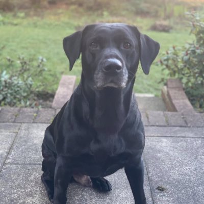 MelenaMoore's tweet photo. #NewProfilePic https://t.co/fJTibpwaOZ