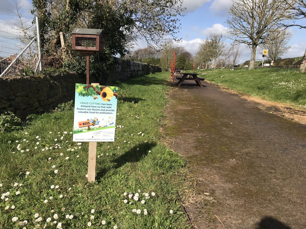 HospitalTidy's tweet photo. @HospitalTidy is #trialling this initiative in two locations in our #community initially.
🐝https://t.co/oIdXUrAxcC 🐝
#BeeFriendlyLimerick #Bee #Pollinator #Trial #Limerick #Hospital #Share #Follow
#BioDiversity #ThankYou @Limerick_ie https://t.co/CYJXg4b7mt