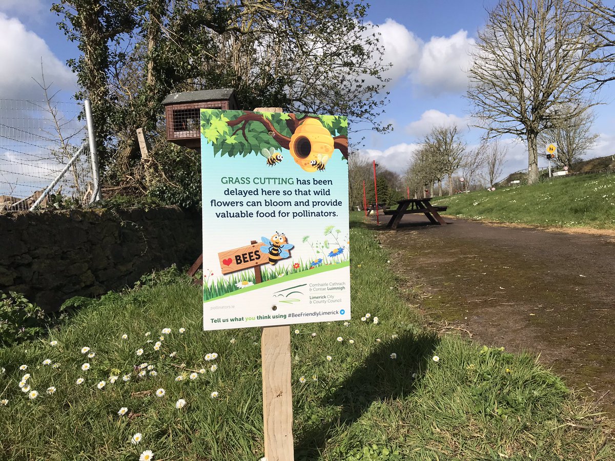 HospitalTidy's tweet photo. @HospitalTidy is #trialling this initiative in two locations in our #community initially.
🐝https://t.co/oIdXUrAxcC 🐝
#BeeFriendlyLimerick #Bee #Pollinator #Trial #Limerick #Hospital #Share #Follow
#BioDiversity #ThankYou @Limerick_ie https://t.co/CYJXg4b7mt