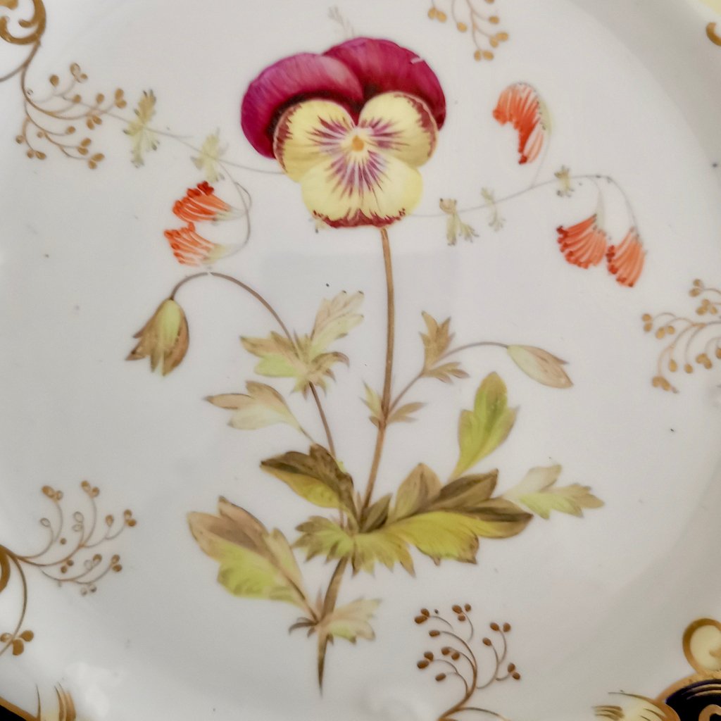 rattlethecups's tweet photo. Very classy #SamuelAlcock #dessertplates #cobaltblue #handpaintedflowers #Regencystyle #antiqueporcelain #englishantiques #antiqueplates #vintageplates #gentlerattleofchina #rattlethecups #interiordesign #dinnertable https://t.co/ZoVXeMXCIm https://t.co/s5thFMITnv