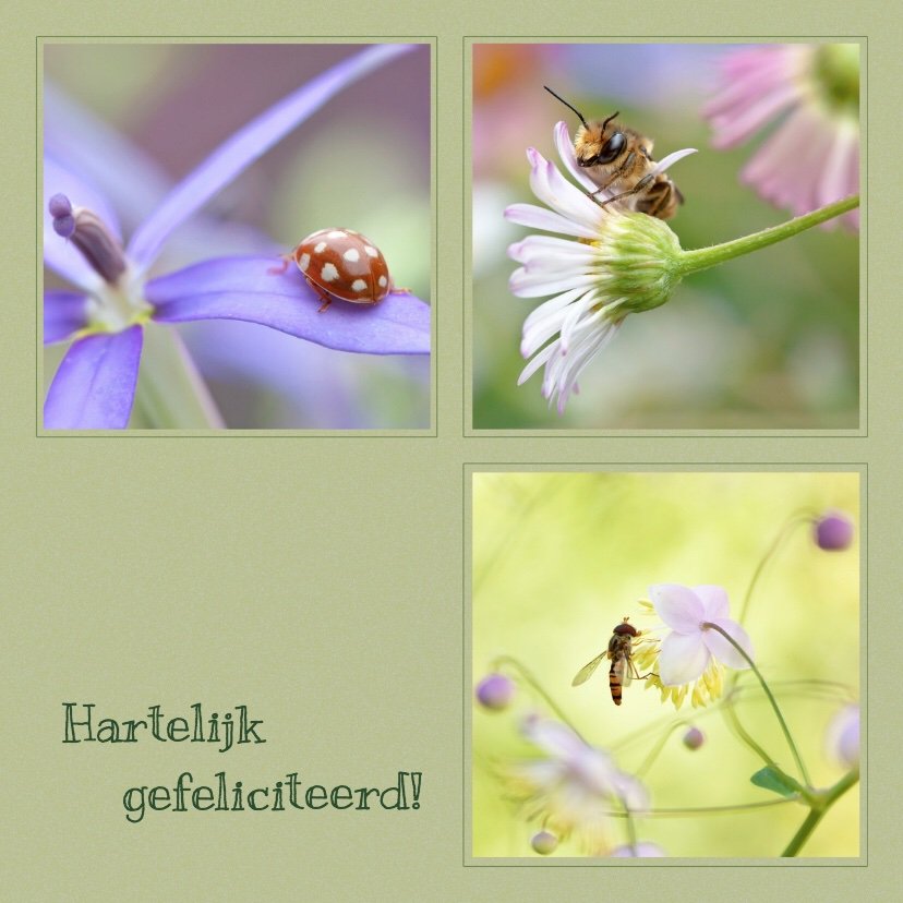 Wij <a href="/WaterNatuurlijk/">Water Natuurlijk</a> feliciteren @astrid_meier  @FranstMaten en @DZ_Theo  Fijn dat we onze drie groene zetels behouden hebben. Iedereen bedankt voor het vertrouwen, de steun en stemmen. Een mooie periode gewenst 🍀👍🏻