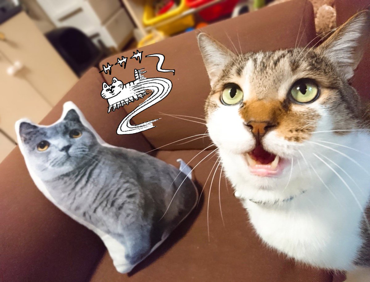 存在感のある猫クッションの話(写真左) 