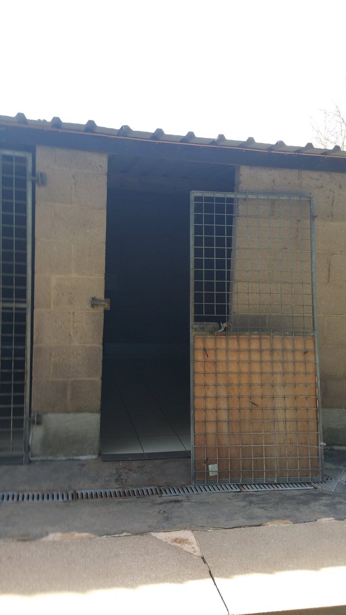 policedogunit's tweet image. Bet you didn&apos;t know our dogs also do MOE @CumbriaPSGInsp #MondayMorningProblems #BetterThanPSG!