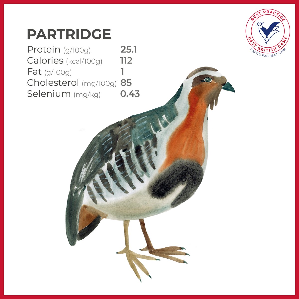 BackBritishGame's tweet photo. Looking to lose your gut? The benefits of game meat are endless - including being lower in fat than popular meats such as Chicken. 

Via @thetimes 

https://t.co/DyPaEOugCz https://t.co/Z0DcbroBcp