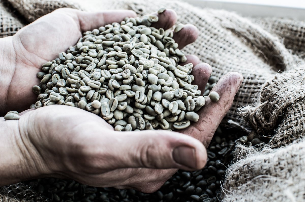 Anima_Coffee's tweet photo. Esto no es un #curso #barista - #1 ¿Qué es el #café? "Sabemos muy poco acerca de la segunda bebida más consumida en el mundo, ¿empezamos?"
https://t.co/V43GA1nPiN …
#cafedeespecialidad #coffeelovers #blog https://t.co/TZO6dVjEtq