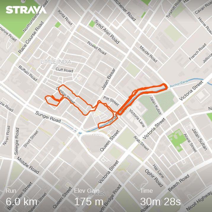 fwzanr's tweet image. Last run here, 🦁 

#wrun #strava