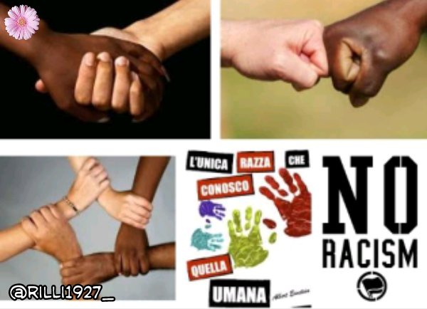 rilli1927's tweet photo. No racism 🌹❤
Click the post👇🌹 https://t.co/kAhiRQ3dJ1
