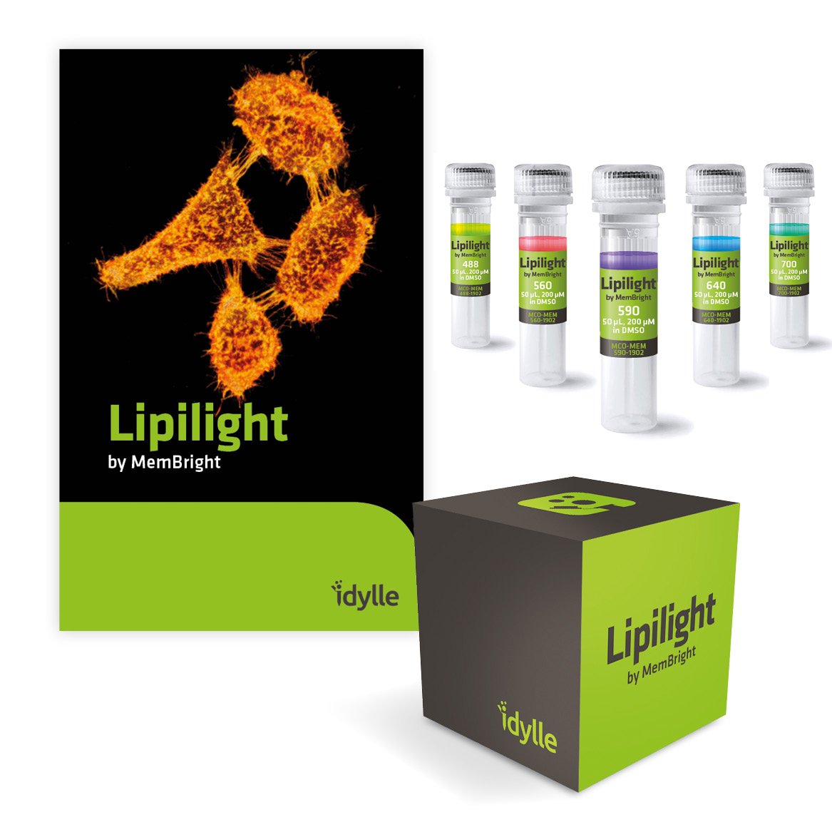 IdylleLabs's tweet photo. So glad to have just crossed 60% of our initial 250 unit reservation goal
#Lipilight based on #MemBright ๐๐๐ฌ THANK YOU!
Reserve here https://t.co/wa0FFTqCLT for free if you want to test. Pay only if satisfied
#spheroids #STORM #2photon #neuro #EVs #lipid https://t.co/YVH4cuauTg