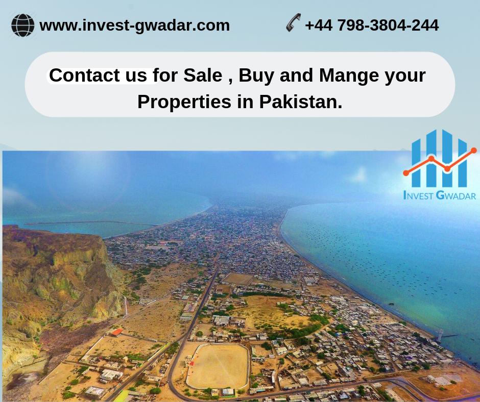 InvestGwadar's tweet photo. #PakistanRealEstate #RealEstateIndustryinPakistan #RealEstateInvestmentinPakistan #InvestGwadar #InvestmentOpportunitiesinGwadar #Propertyinvestmentservice #Gwadarproperties #Propertyinvestmentinpakistan
 https://t.co/K0Ty0iwgRC https://t.co/6QrC2P5QkF