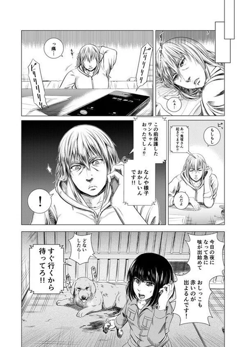 保健所の獣医さんが初めて保護犬を助けるお話(8/11) 