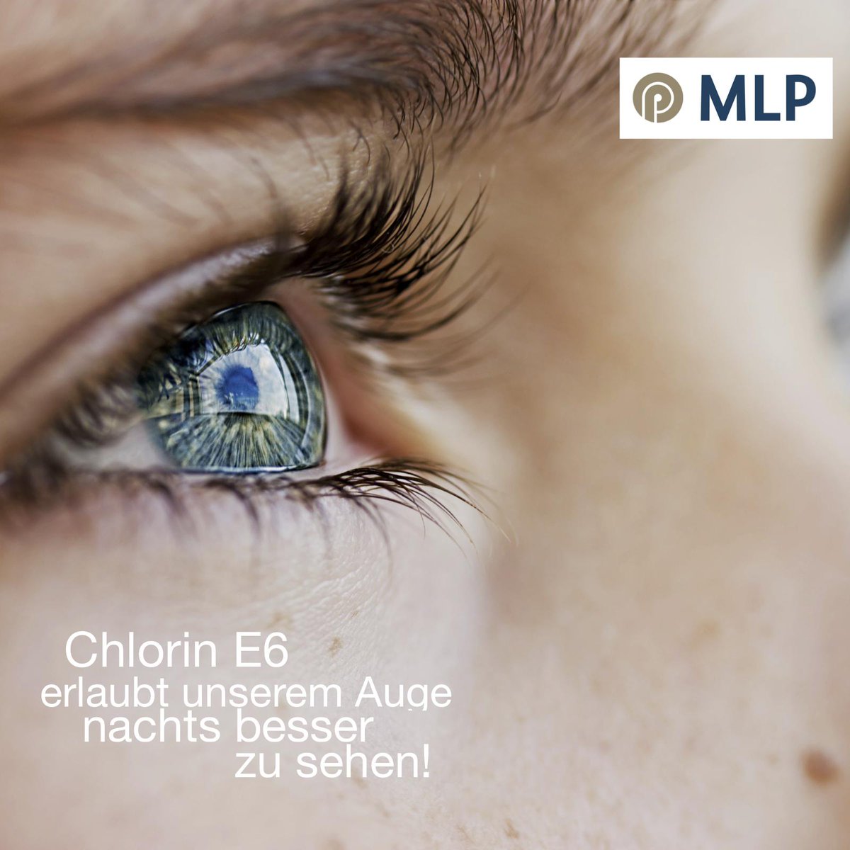 MLP_Hannover tweet media