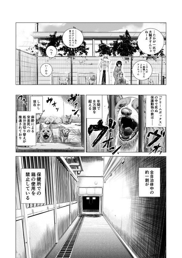 保健所の獣医さんが初めて保護犬を助けるお話(11/11) 