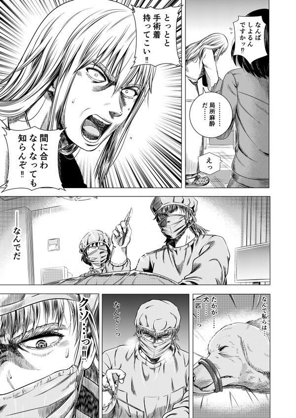 保健所の獣医さんが初めて保護犬を助けるお話(9/11) 