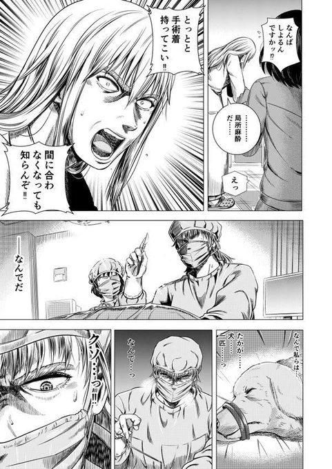 保健所の獣医さんが初めて保護犬を助けるお話(9/11) 