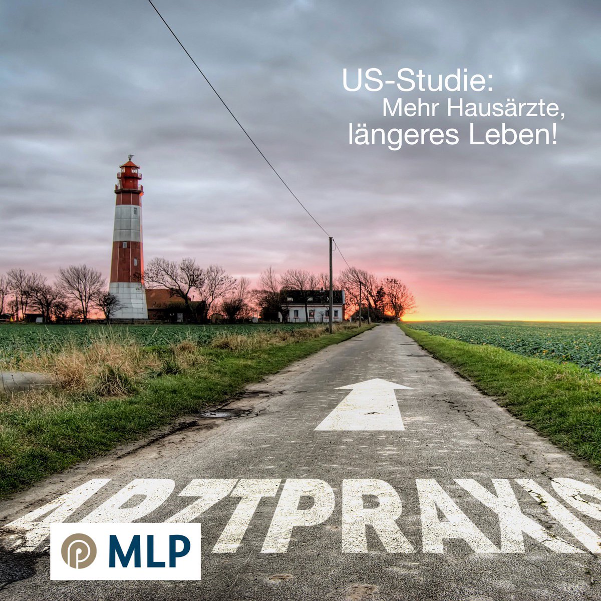 MLP_Hannover tweet media