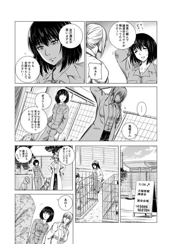保健所の獣医さんが初めて保護犬を助けるお話(10/11) 