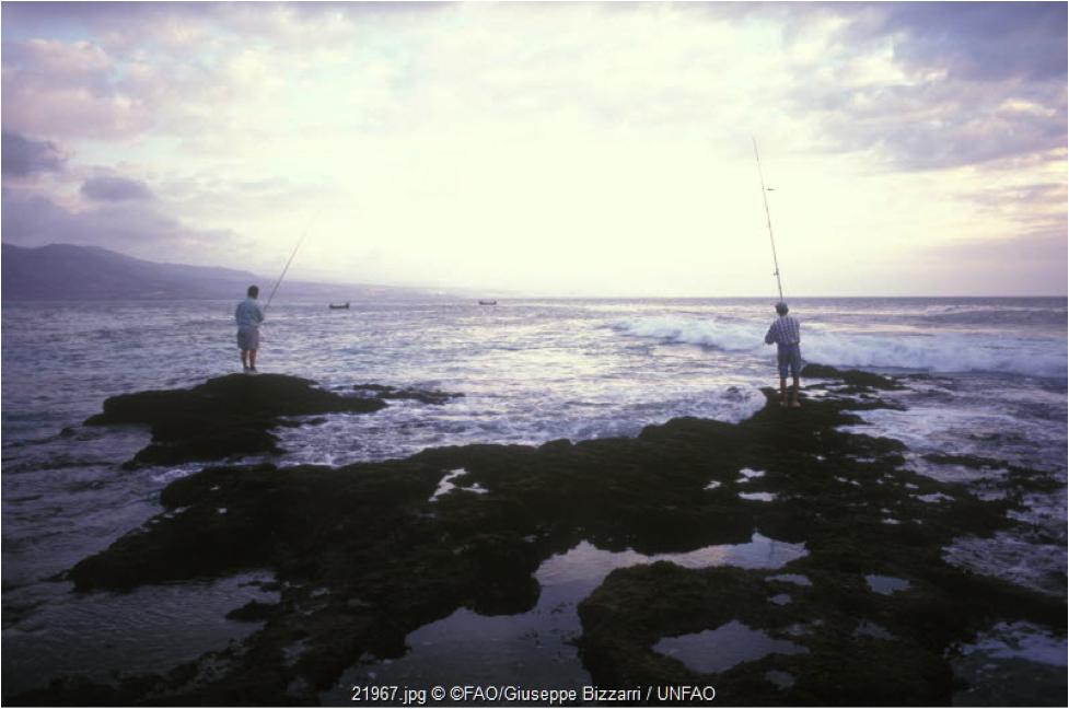 GACSA_news's tweet photo. Do you think reducing ocean acidification & removing #CO2 from the atmosphere is impossible? #GACSAmember @CmccClimate is working within the #DesarcMaresanus project on cutting-edge technologies to combat negative emissions --> https://t.co/YwdideGxAH https://t.co/PaBNWZOFUJ