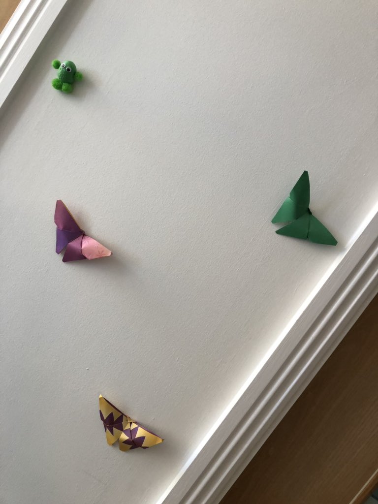 Beth_Autistic's tweet photo. Visit to Parkland @Southern_NHSFT with @susannarayner78 seeing service user origami all over the wards #serviceuserart #origamibutterflies #origamifrogs @barrydaySHFT @GrahamW36927015 @NursingEmma https://t.co/ayr0B6c3OS