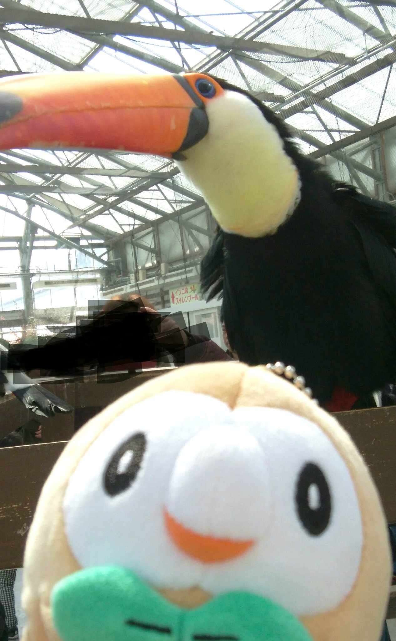 むじな ドデカバシに会いに行きました T Co Hpjzdkl4wq Twitter むじな ドデカバシに会いに行きました T Co Hpjzdkl4wq Twitter