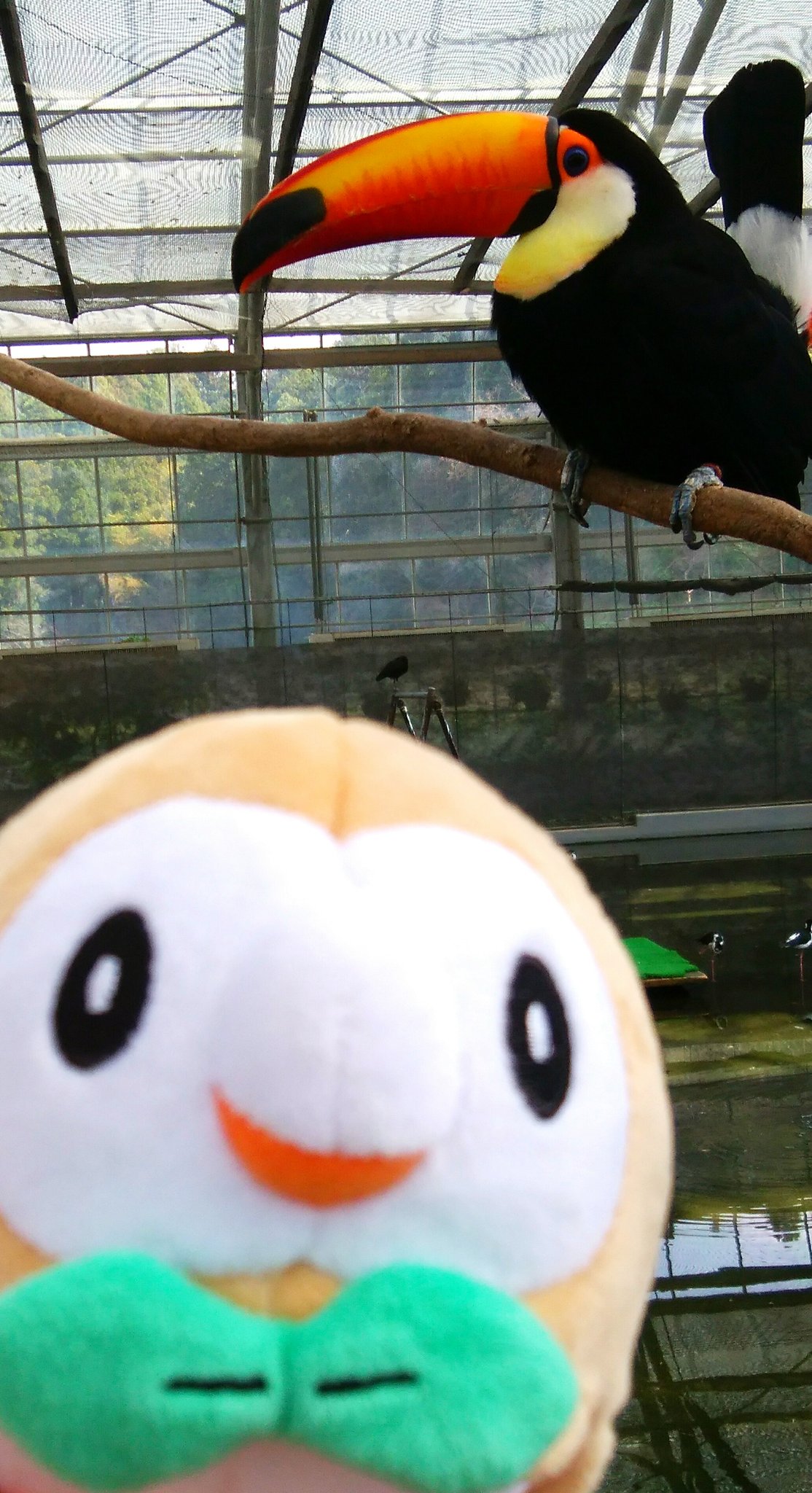 むじな ドデカバシに会いに行きました T Co Hpjzdkl4wq Twitter