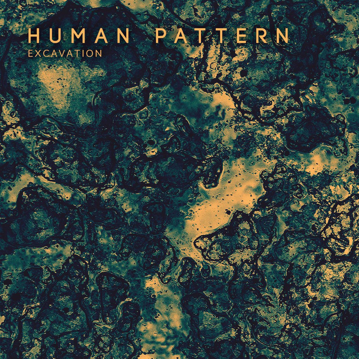 AlpineRecords74's tweet image. HUMAN PATTERN - EXCAVATION
Sortie le 11.04.2019 - digital &amp;amp; vinyle
Followez-le ⬇️
@PatternHuman