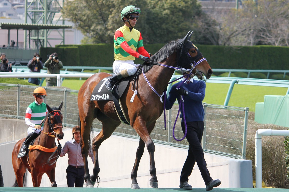 こーやさん On Twitter 2019年3月23日 阪神9r君子蘭賞 フェアリーポルカ 和田竜二騎手 母 フェアリーダンスは未勝利馬ですが 半姉にトゥザヴィクトリーを持つ良血馬 好位から鞍上のゴーサインに直ぐ反応して 楽に抜け出して1着 レースセンスの高さが引き立った