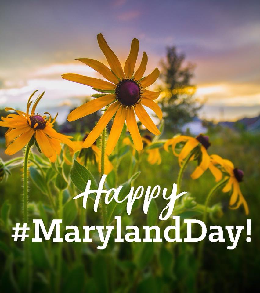 GovLarryHogan's tweet photo. Happy #MarylandDay! Today, we celebrate the 385th anniversary of the founding of our great state! #LoveMD https://t.co/Hy6NvnzhYK