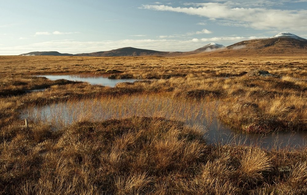 Scotland has ONE THIRD of the UK’s Natural Capital, says a new study by the Office of National Statistics. That’s why we need to make sure protection and restoration of our water, air, soils and wildlife underpins legislation across the board...
thenational.scot/news/17520917.…