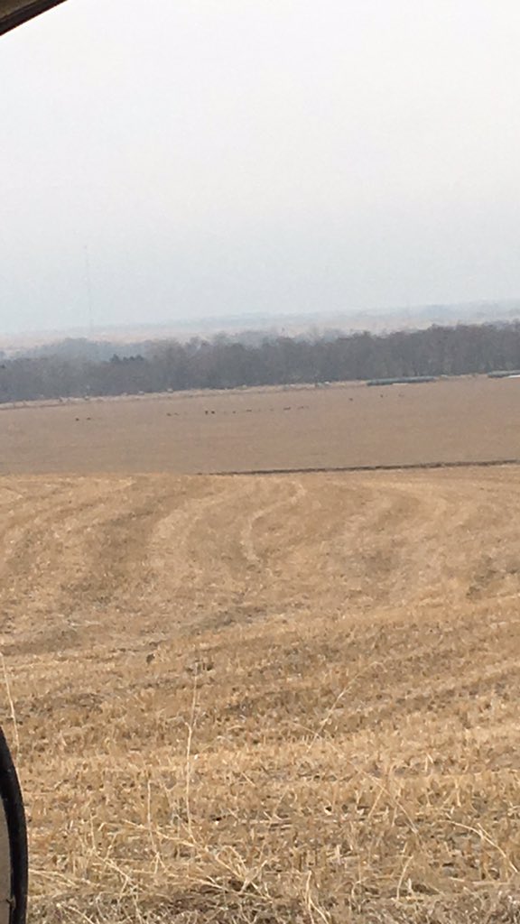 Zach Vincent tweet media