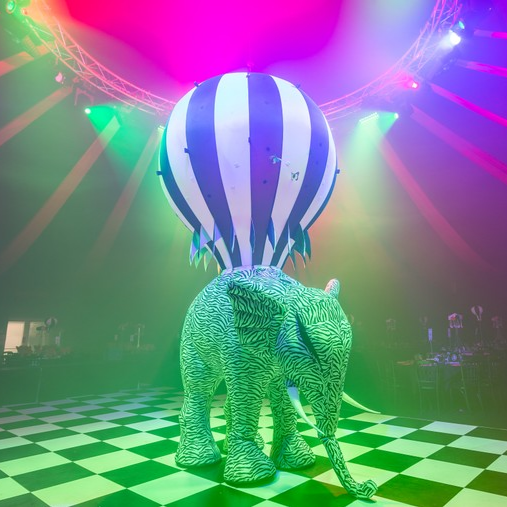 BlueParrot_'s tweet photo. Who's excited for the release of @dumbo this Friday? 😃🐘
Get in touch to find out about all of our circus themed table centres and props:
sales@blueparroteventsgroup.com
#dumbo #elephant #circus #circustablecentre #circusprops #eventprofs #theming #circustheme https://t.co/K0hVC0UVC7