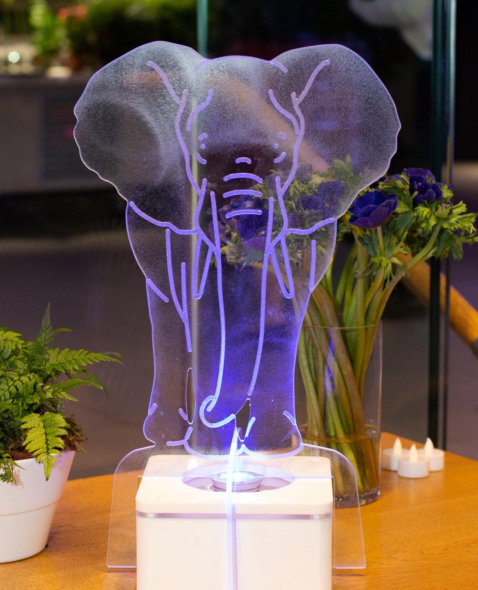BlueParrot_'s tweet photo. Who's excited for the release of @dumbo this Friday? 😃🐘
Get in touch to find out about all of our circus themed table centres and props:
sales@blueparroteventsgroup.com
#dumbo #elephant #circus #circustablecentre #circusprops #eventprofs #theming #circustheme https://t.co/K0hVC0UVC7