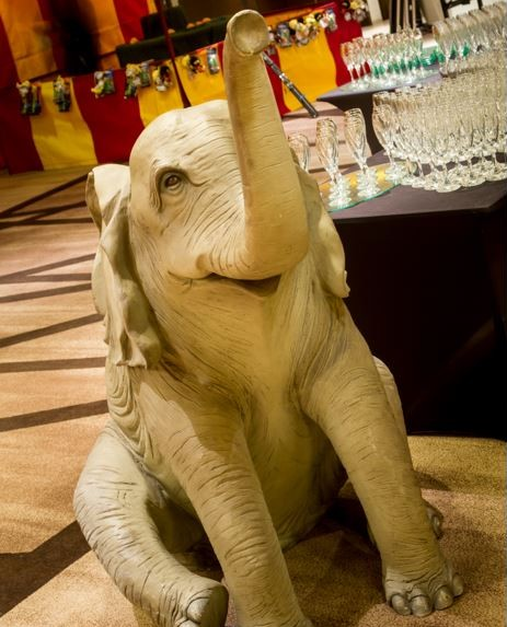 BlueParrot_'s tweet photo. Who's excited for the release of @dumbo this Friday? 😃🐘
Get in touch to find out about all of our circus themed table centres and props:
sales@blueparroteventsgroup.com
#dumbo #elephant #circus #circustablecentre #circusprops #eventprofs #theming #circustheme https://t.co/K0hVC0UVC7
