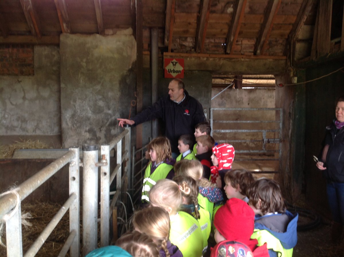 Kinnoull Primary (@kinnoullprimary) on Twitter photo A wonderful morning at Stewart Tower Dairy Farm. We learned about the job of a farmer and the journey of milk from the farm. A big thank you to Farmer Neil and Alix. <a href="/stewarttower/">Stewart Tower Dairy</a> <a href="/rhetperth/">RHETPerth&Kinross</a> A wonderful morning at Stewart Tower Dairy Farm. We learned about the job of a farmer and the journey of milk from the farm. A big thank you to Farmer Neil and Alix. <a href="/stewarttower/">Stewart Tower Dairy</a> <a href="/rhetperth/">RHETPerth&Kinross</a>