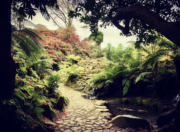 One of those paths that makes you feel like you could be anywhere in the world😊#lostgardensofheligan #exploring #weekendadventures