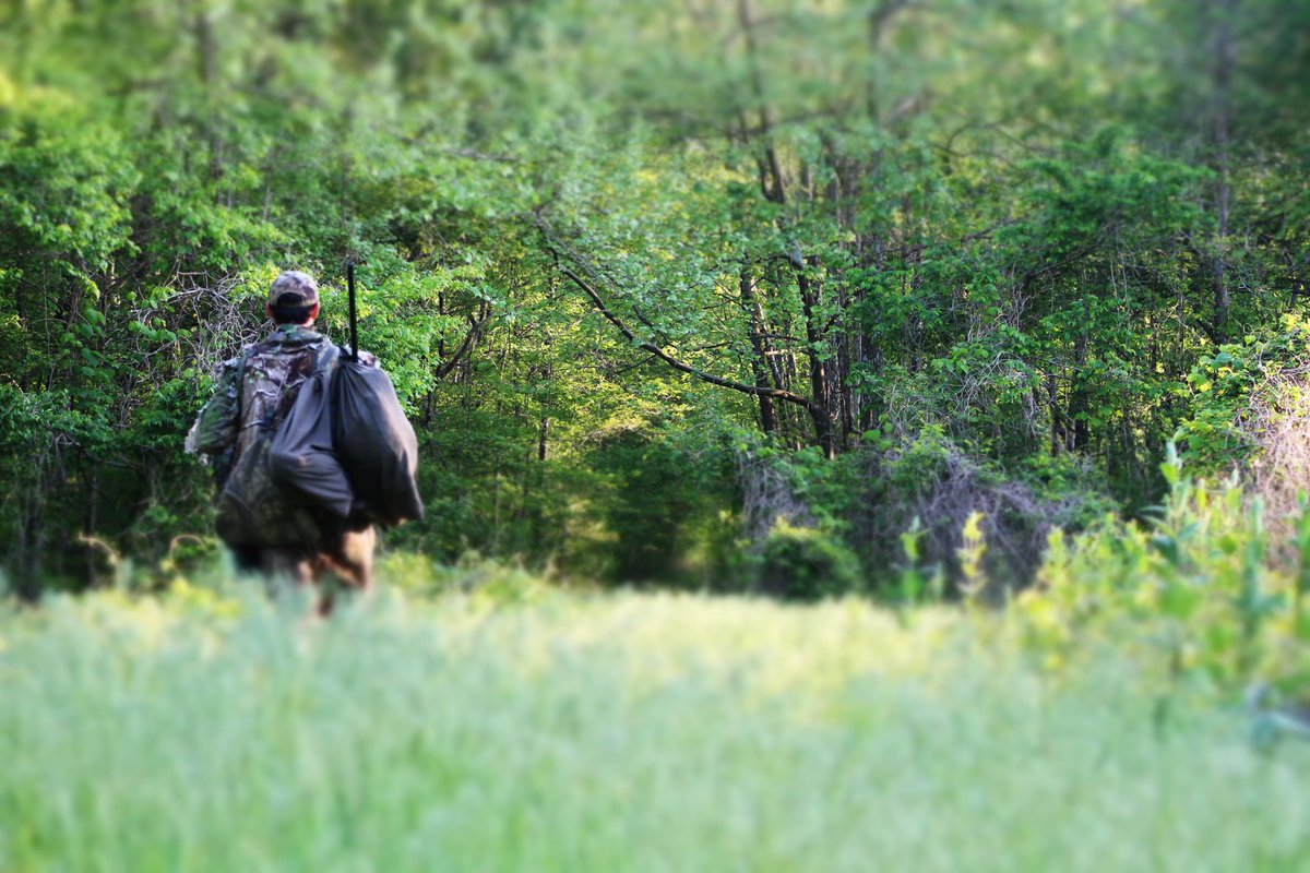 HavocCalls's tweet photo. Turkey hunting is a game of chess, choose your next move wisely.
📷 @evan_ross_240
#havoccalls #havoclife #madeforthegrind #deceptiondecoys #sitkagear #sickforit #stoeger #benelli #webbssportinggoods #carlsonschoketubes https://t.co/e9mpKL3j9Q