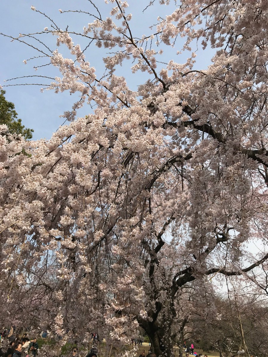 YKMCPressnote's tweet photo. 何にお悩みですか？

先行きの不安があることに気づけると、今の暮らしのスタンスを切り替えやすくなるかもしれません。たとえば春先…→全部読む
https://t.co/oobuB5yOF7 https://t.co/Cp0guR4zi9