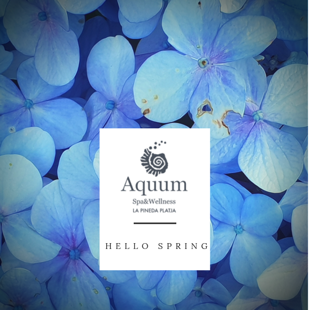 AquumEstival's tweet photo. Bienvenida #Primavera 🌸
https://t.co/dSiQl16IuE https://t.co/1mF4042Y4I