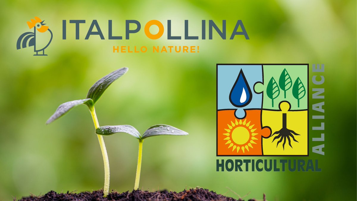 hellonatureint's tweet photo. Italpollina acquires @HorticulturalA1 which specializes in an #organicapproach to #plants health and maintenance through the use of mycorrhizal inoculants and beneficial bacteria in #horticulture Read more: https://t.co/qcMaq8Iucm https://t.co/Jc09FptsXN