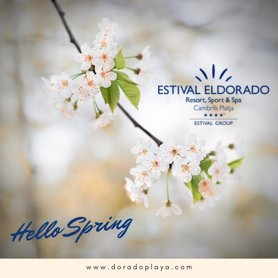 Estival Eldorado tweet media