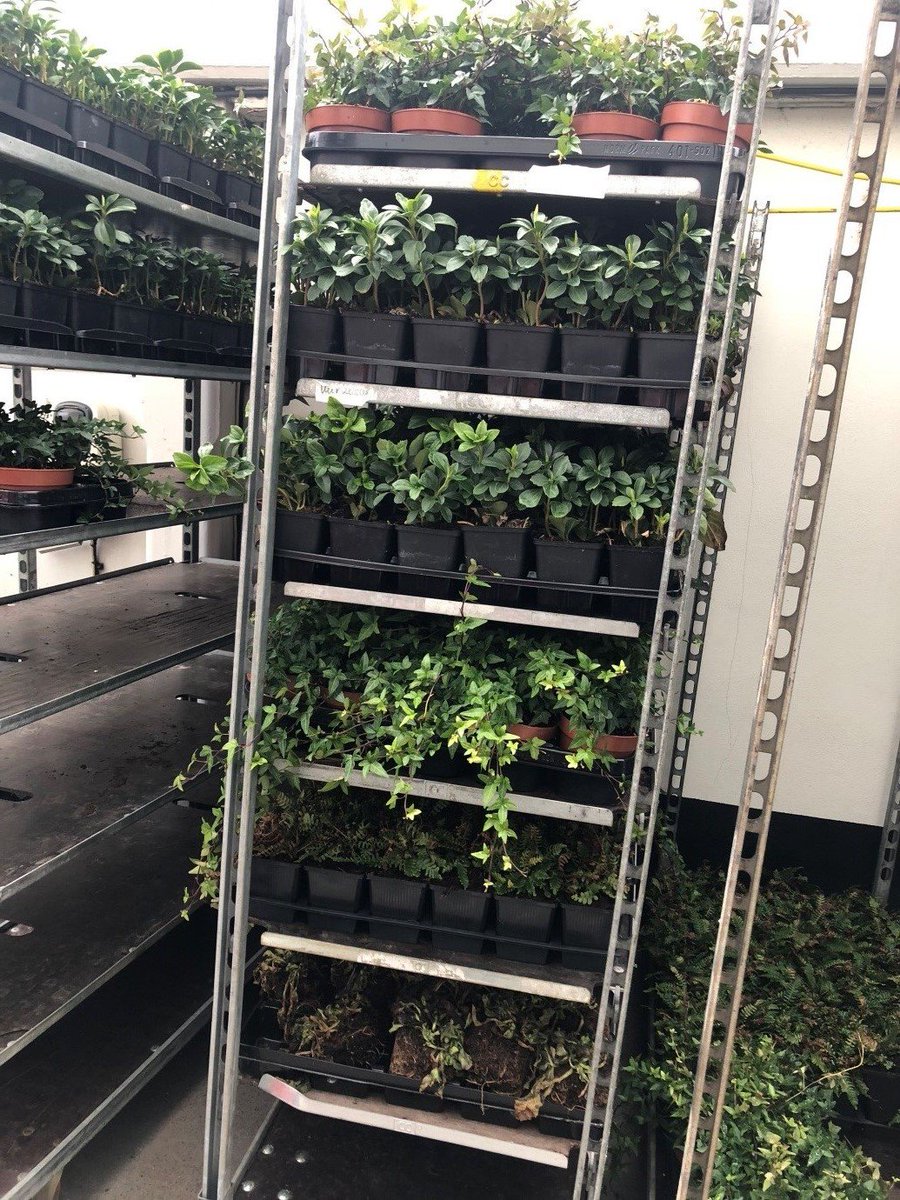 Royal Lancaster London tweet media