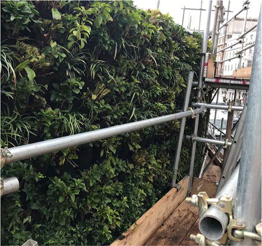 The lush green plants for our new Living Wall outside our entrance have arrived and the wall is beginning to take shape! 🌿

#MondayMotivation #LondonLife #Plants #Progress