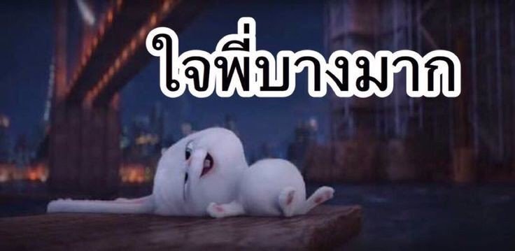 คอปเตอร์ @LA tweet media
