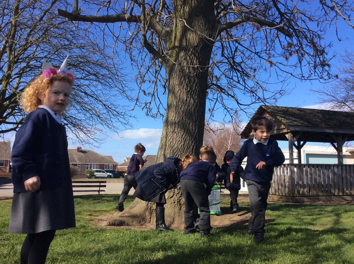 Investigating minibeast habitats