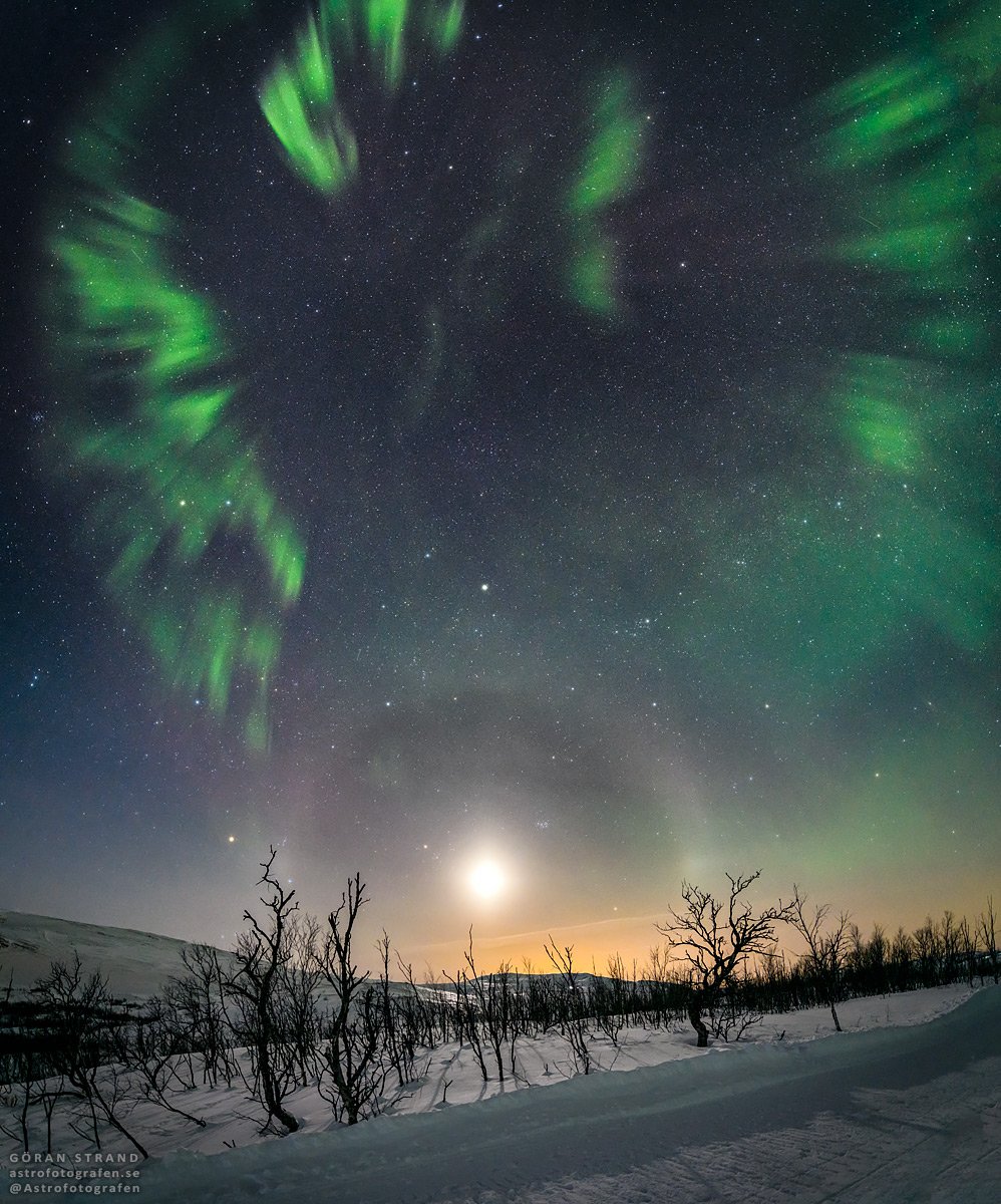 Kaboom! Northern Light explosion over a lunar halo.

Nikon D850 + Nikon AF-S 14-24mm f/2,8 G ED

#NorternLights #Aurora #Norrsken #Nordlys #Astrophotography #Nikon