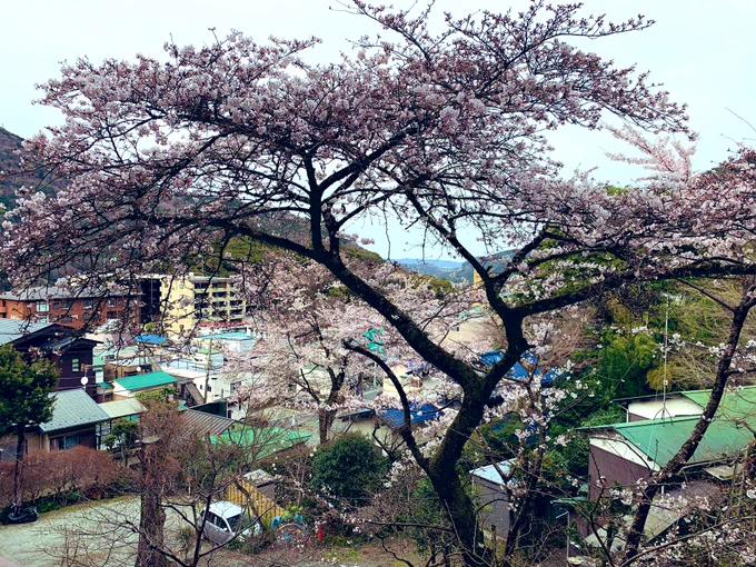 Hakone is beautiful ??? 