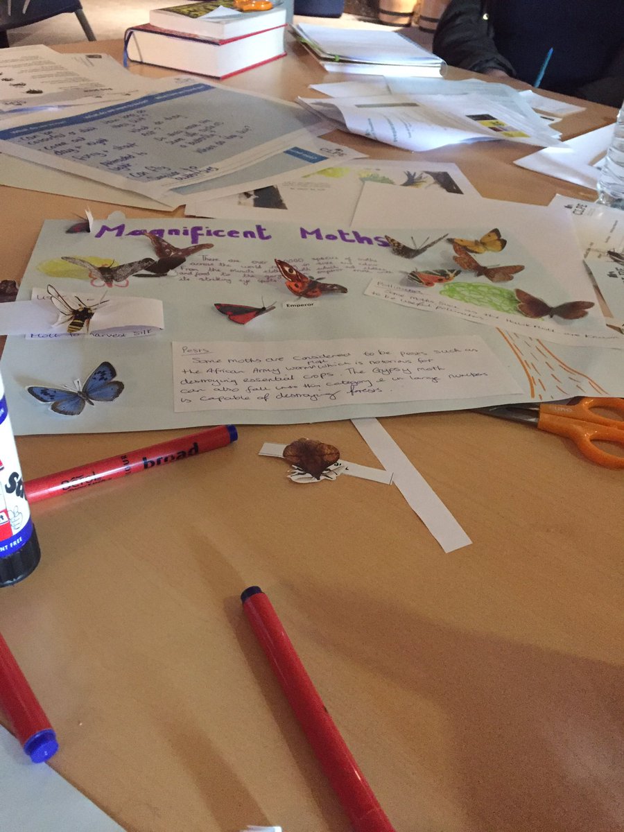 ashblake33's tweet photo. Exploring non-fiction reading/writing in power of reading training #wearedeveloping https://t.co/lJn24kJZEz