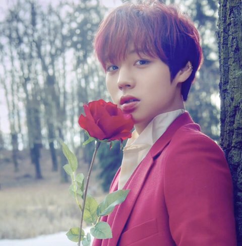 jihoooo_n_'s tweet photo. 박지훈 솔로 앨범 대박나자
#나만의꽃_박지훈데뷔
#Parkjihoon0326LoveOclock
우린 이제부터 시작이야❤️ https://t.co/WPN8Of10Kp